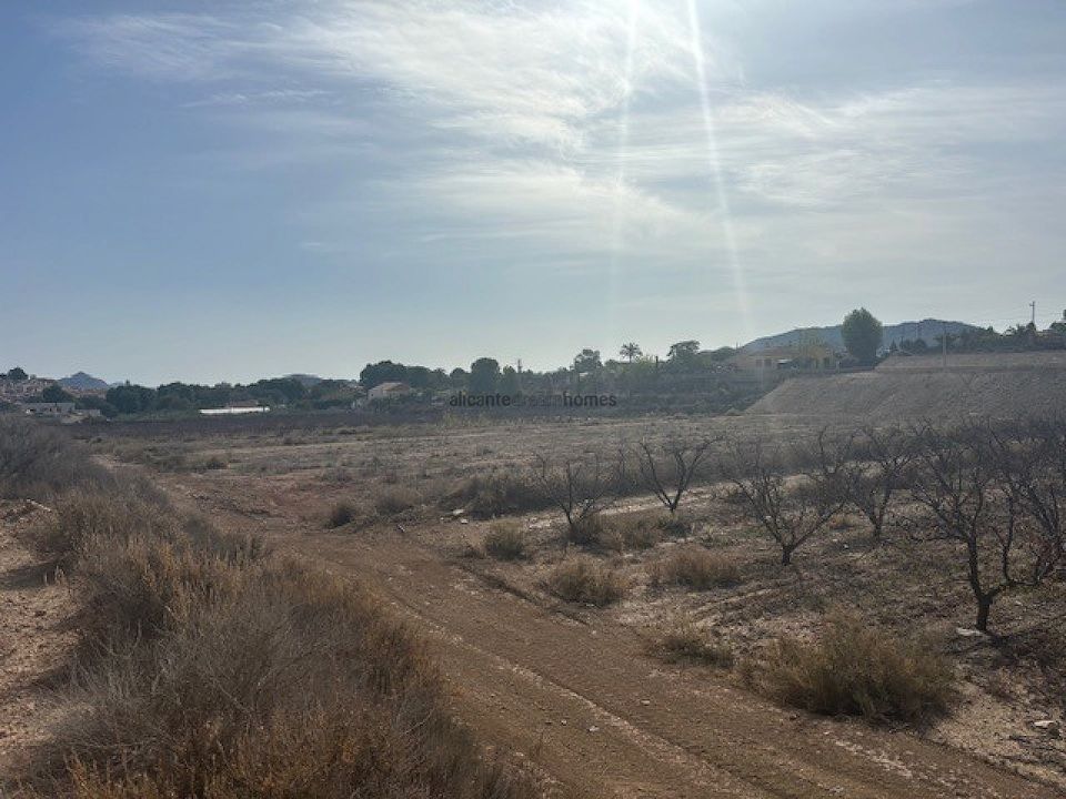 Tomt i Monovar, Alicante - bilde 3