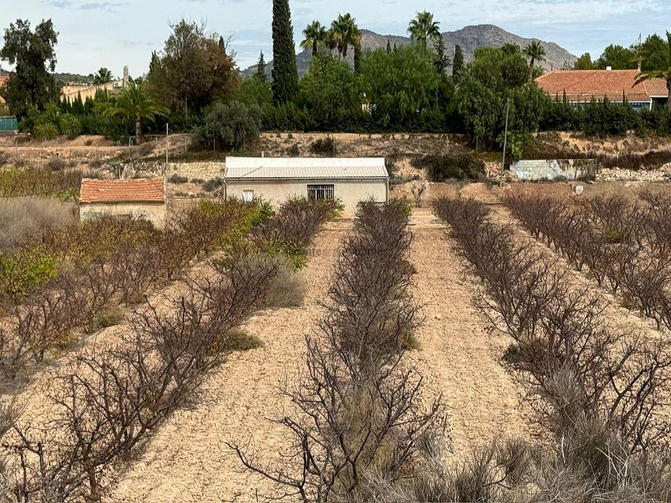 Tomt i Monovar, Alicante - bilde 4