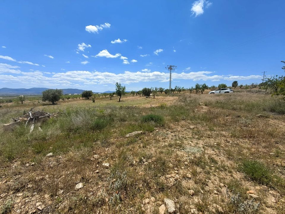 Ruinere i Pinoso, Alicante - foto 3