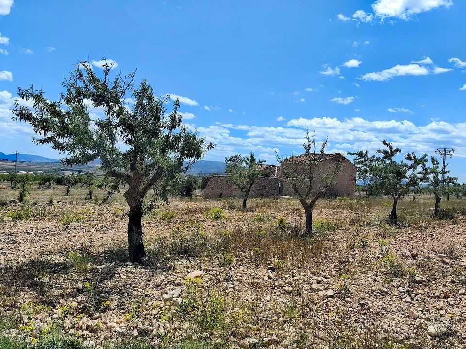 Ruinere i Pinoso, Alicante - foto 4