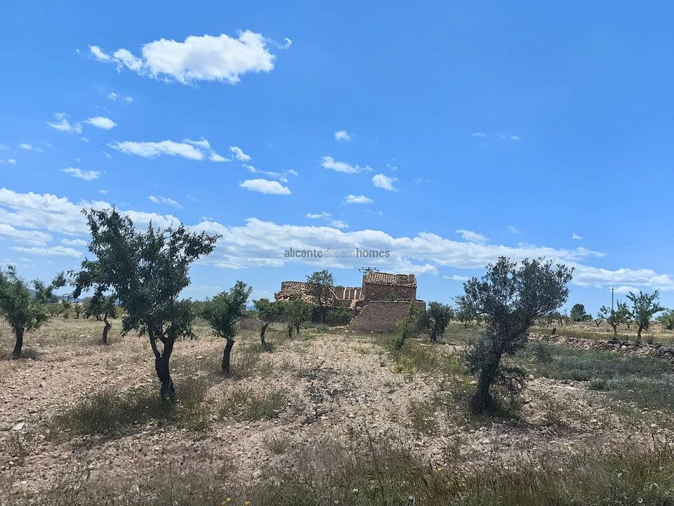 Ruinere i Pinoso, Alicante - foto 5
