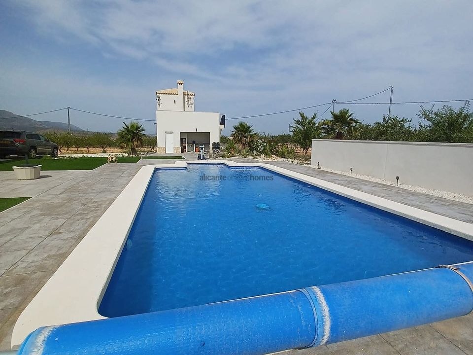 Villa i Pinoso, Alicante - foto 3