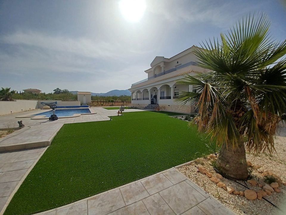 Villa i Pinoso, Alicante - foto 4