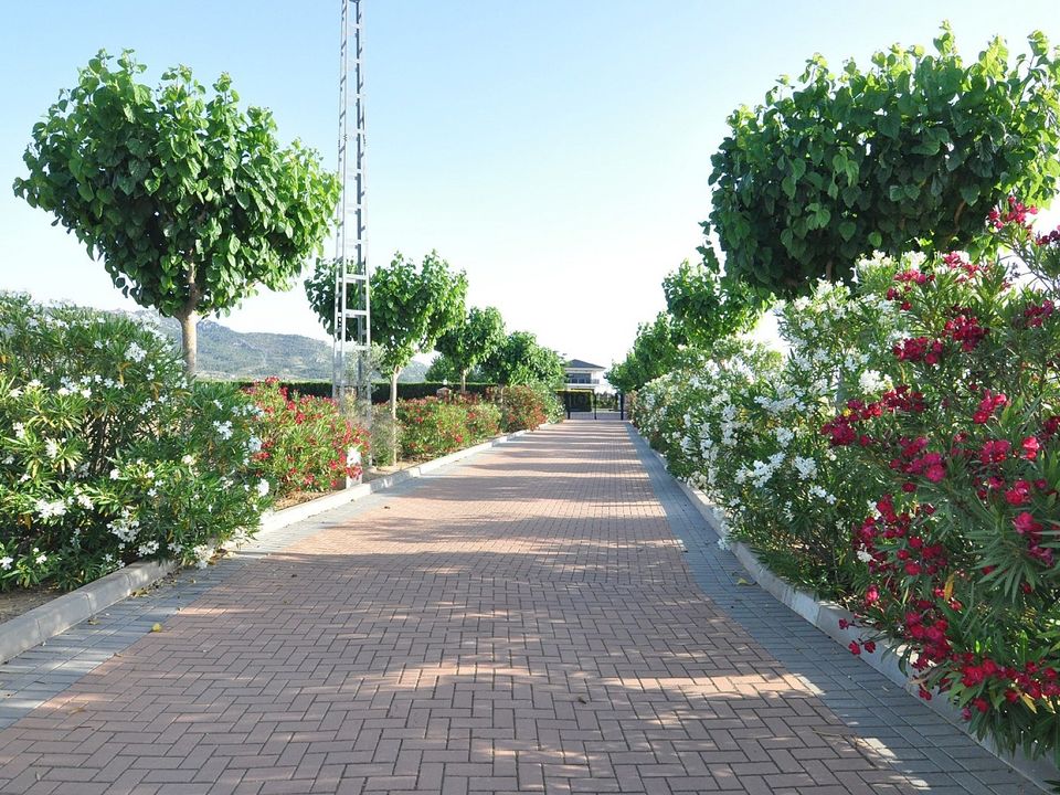 Villa i Villena, Alicante - foto 4