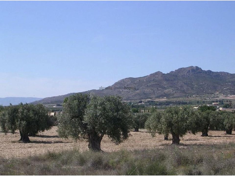 Helårsgrund i Sax, Alicante - foto 2