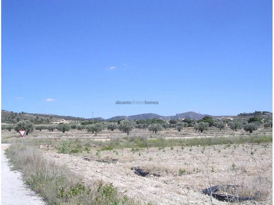 Helårsgrund i Sax, Alicante - foto 3