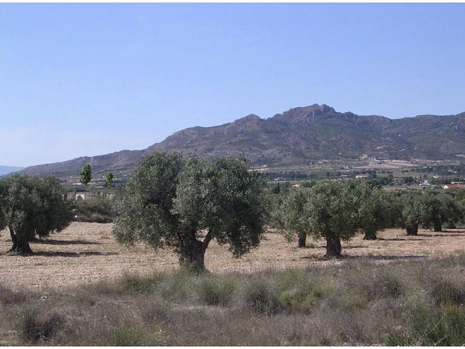 Helårsgrund i Sax, Alicante - foto 4