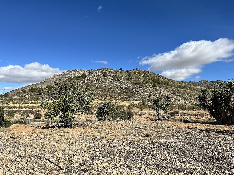 Landejendom i El Canton, Murcia - foto 3