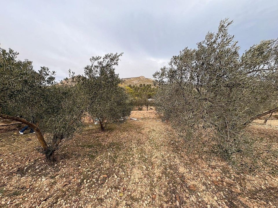 Terra a Onil, Alicante - foto 1