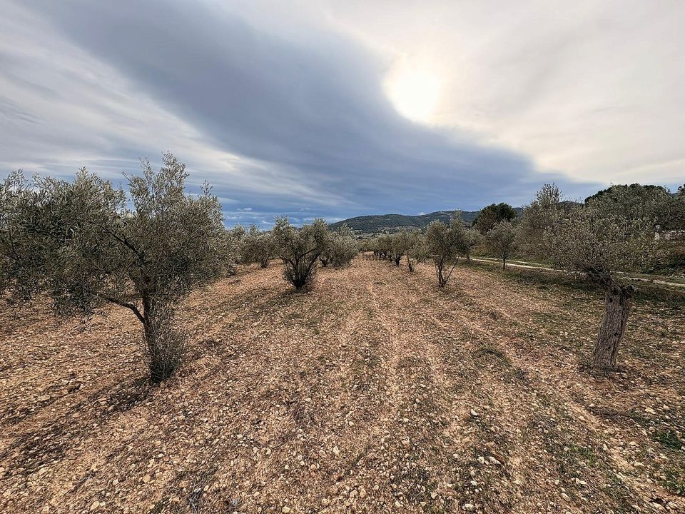 Terra a Onil, Alicante - foto 2