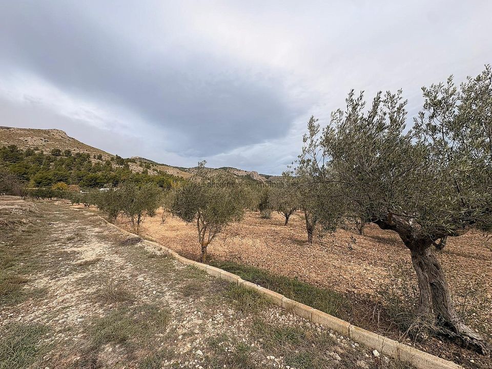 Terra a Onil, Alicante - foto 3