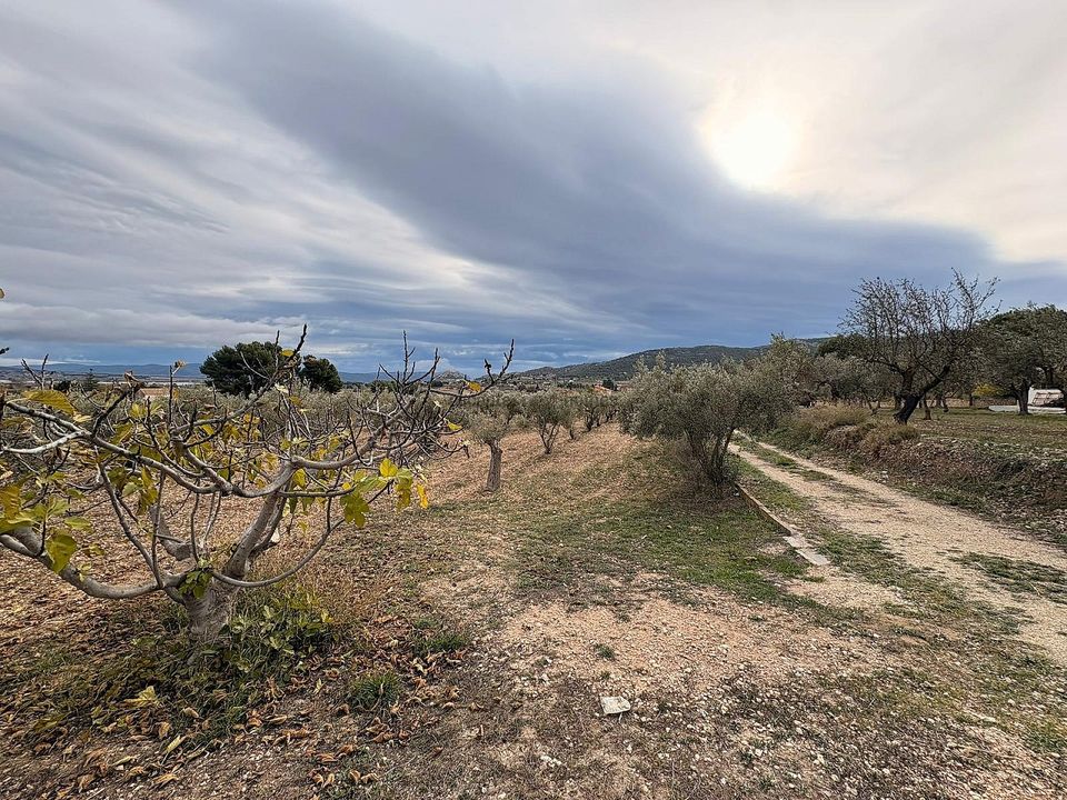 Terra a Onil, Alicante - foto 4