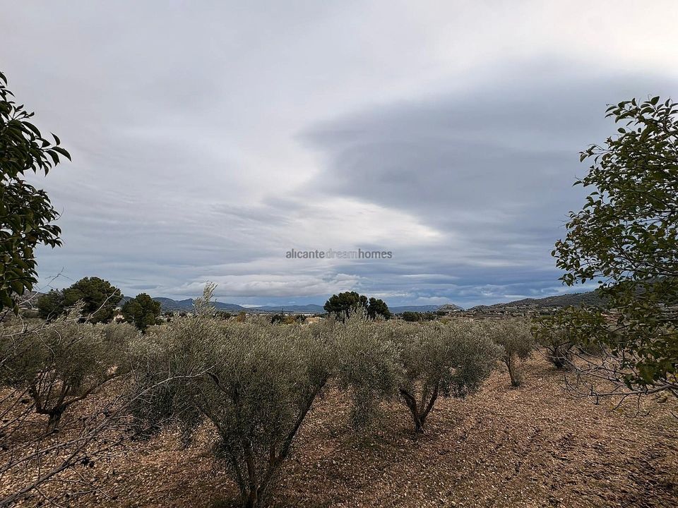 Terra a Onil, Alicante - foto 5