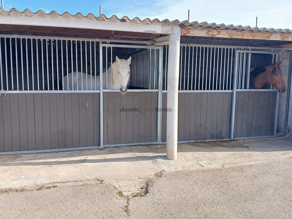 Casa rural em Monovar, Alicante - foto 4