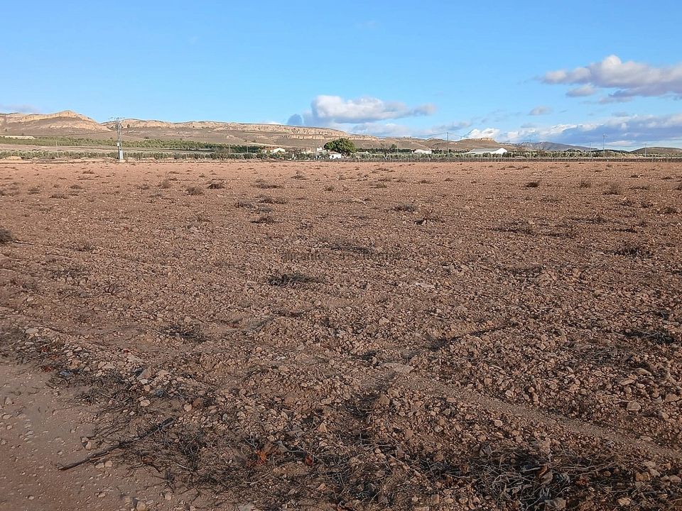 Helårsgrund i Yecla, Murcia - foto 4