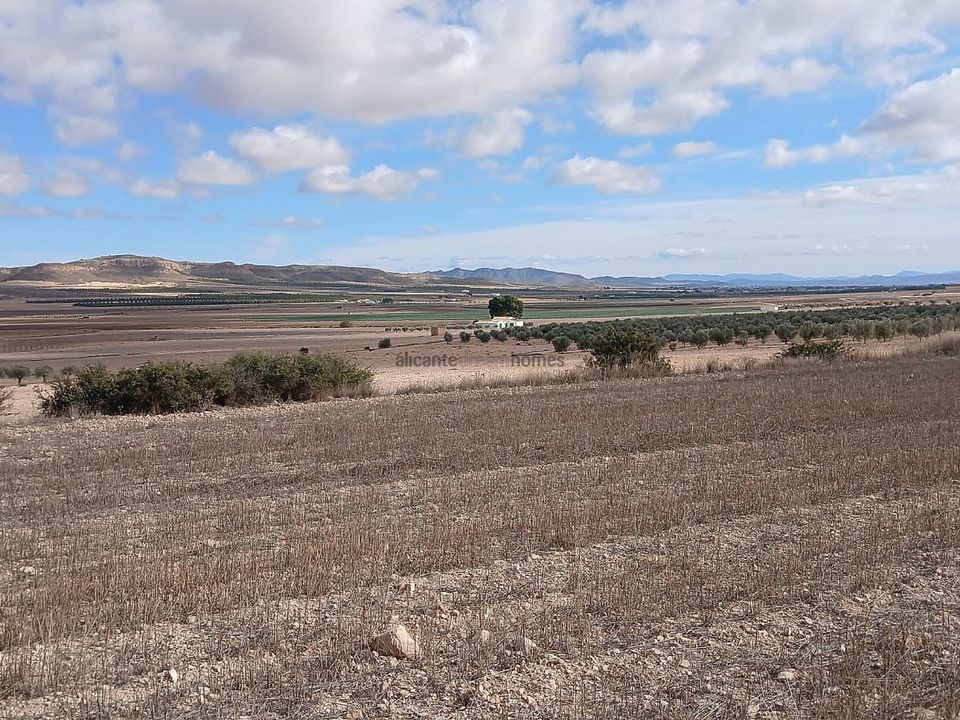 Helårsgrund i Yecla, Murcia - foto 4