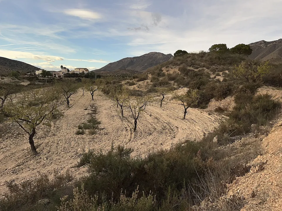 Landejendom i Hondon De Las Nieves, Alicante - foto 2