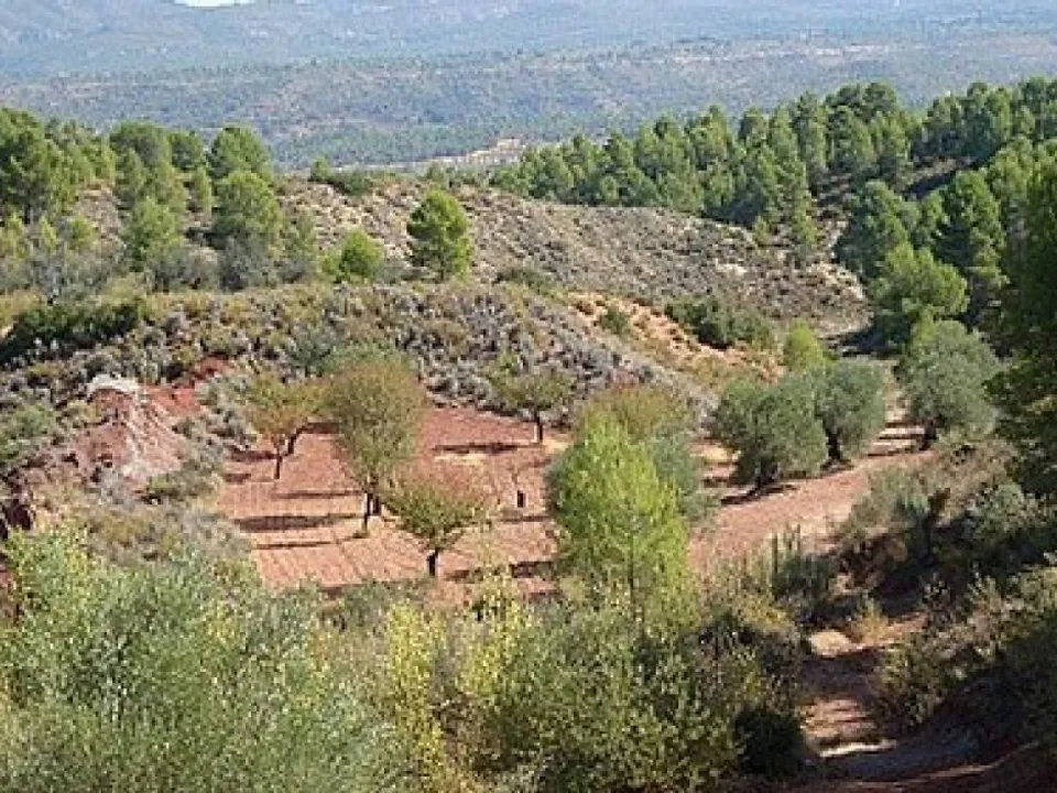 Helårsgrund i Ayora, Valencia - foto 1