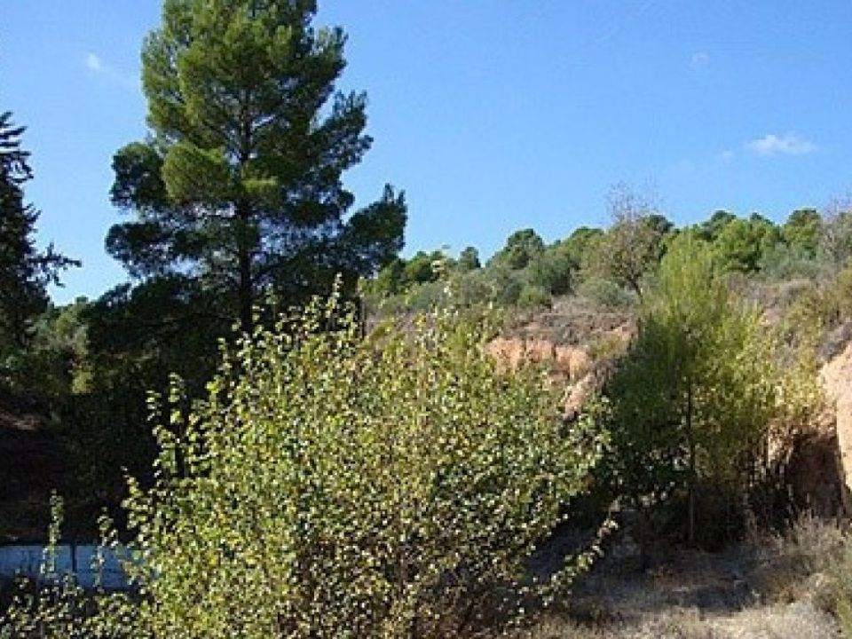 Helårsgrund i Ayora, Valencia - foto 3