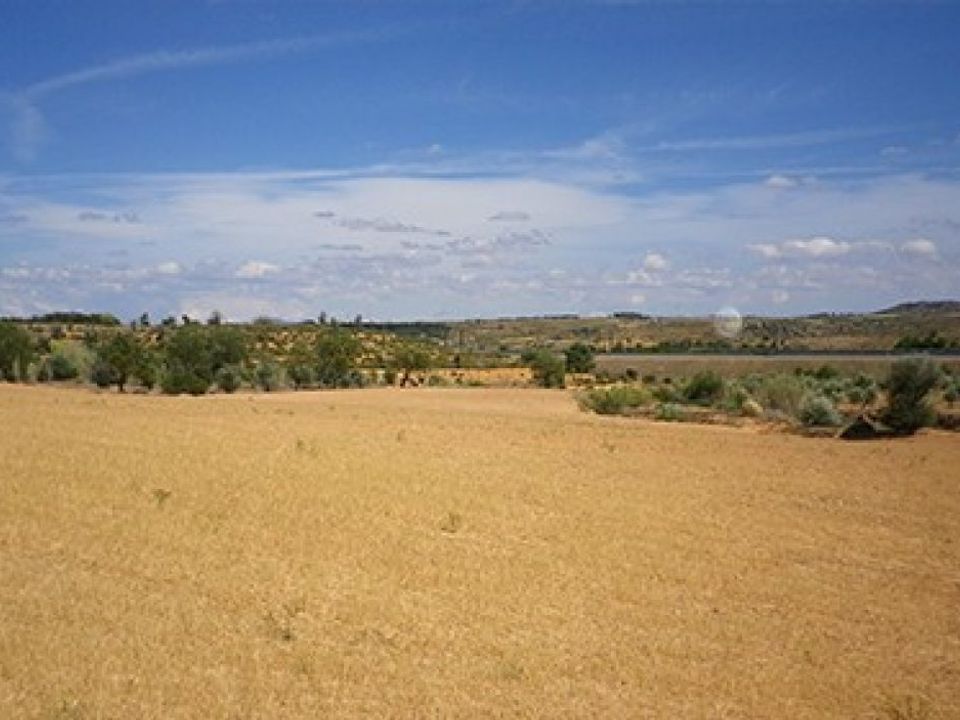 Tomt i Almansa, Albacete - bilde 2