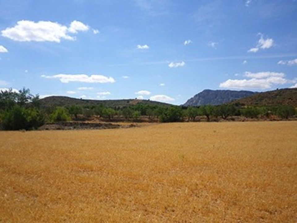 Tomt i Almansa, Albacete - bilde 3