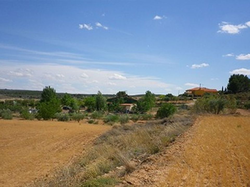 Tomt i Almansa, Albacete - bilde 4