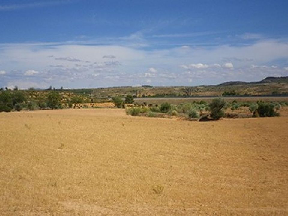 Tomt i Almansa, Albacete - bilde 5
