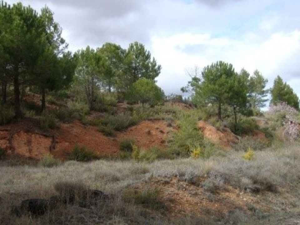 Grond in Ayora, Valencia - foto 3