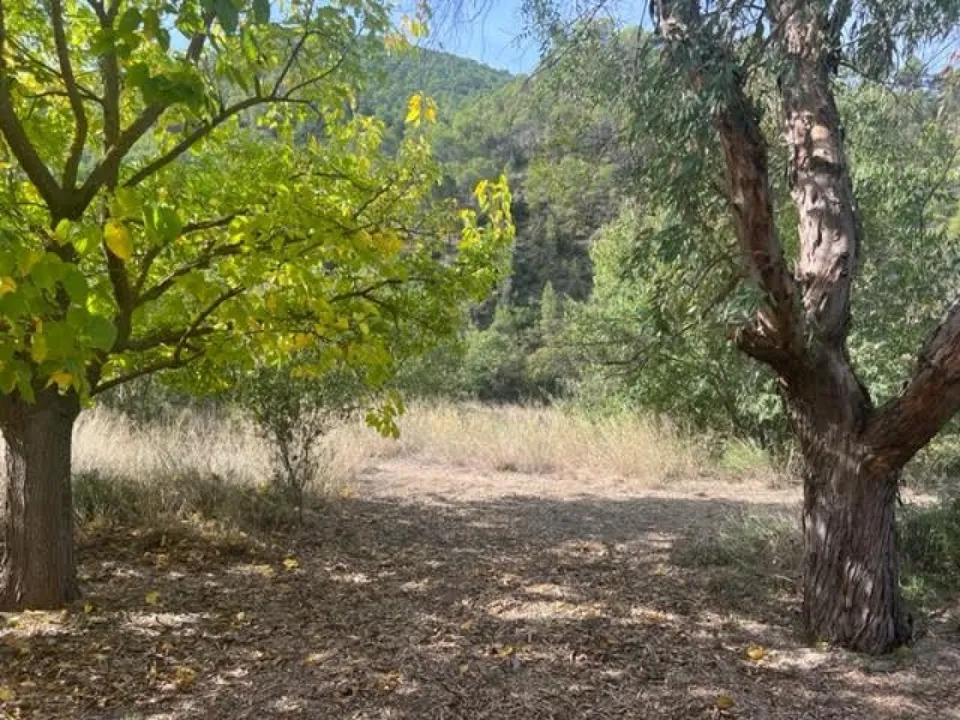 Finca i Jalance, Valencia - foto 5