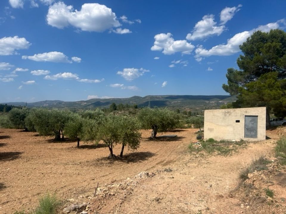 Finca i Zarra, Valencia - foto 1