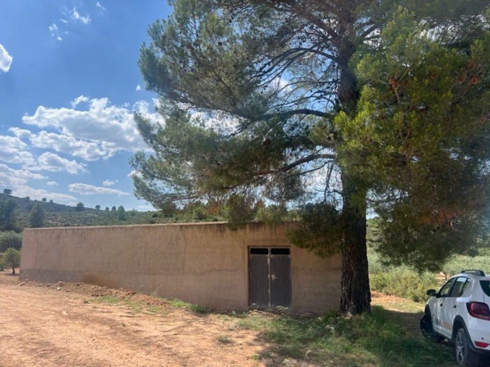 Finca i Zarra, Valencia - foto 2