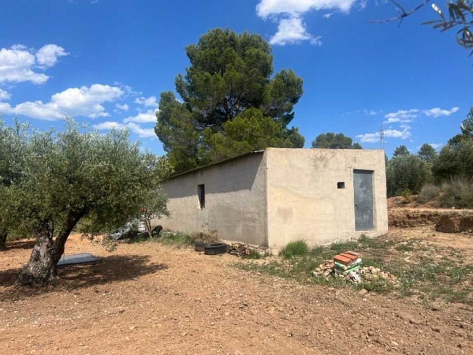 Finca i Zarra, Valencia - foto 4