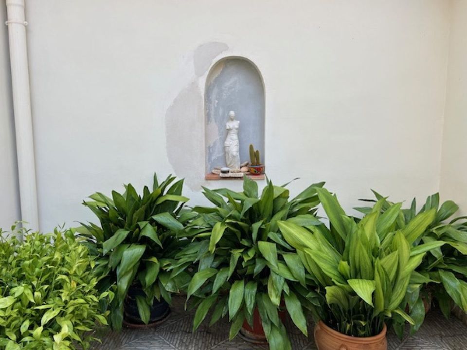 Villa i Ayora, Valencia - foto 3
