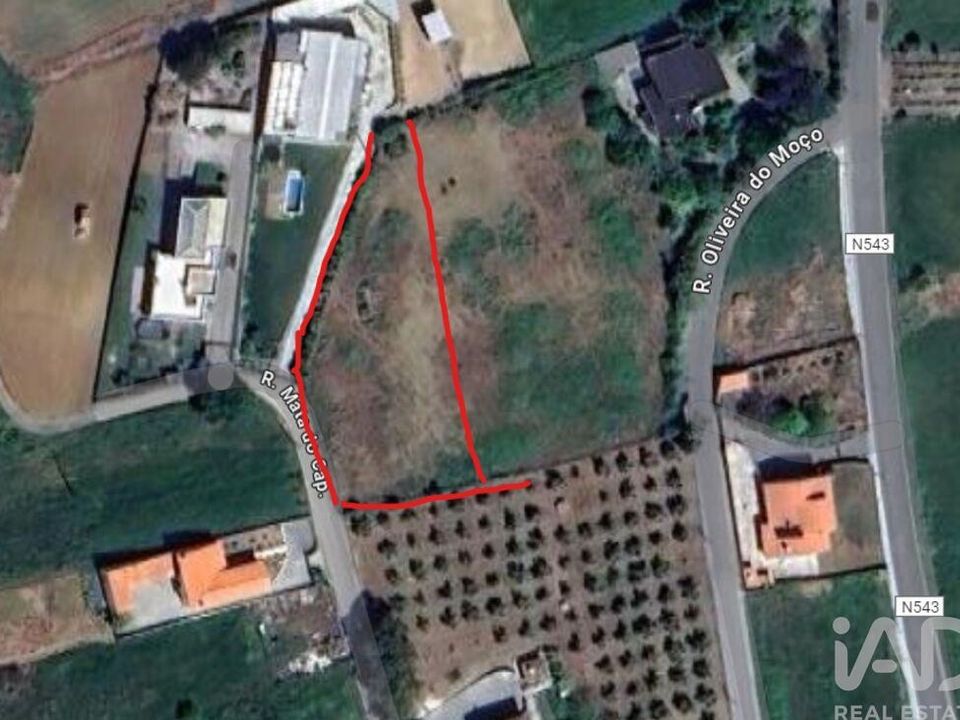 Helårsgrund i Leiria, Leiria - foto 3