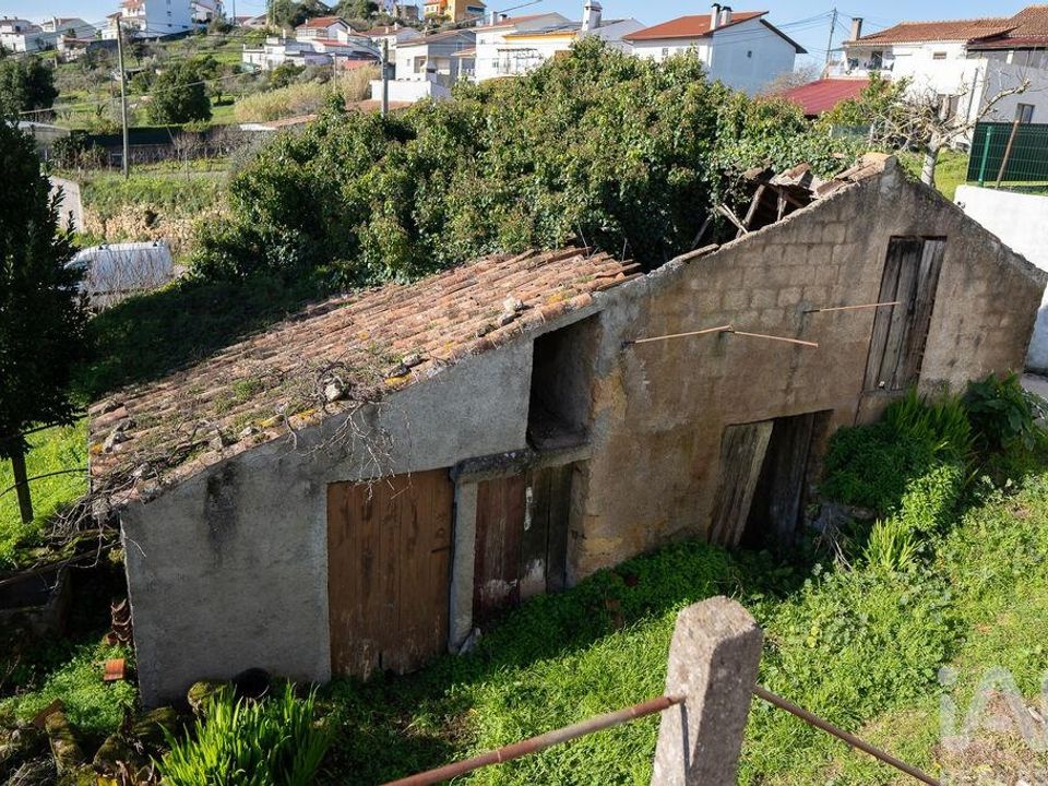 Helårsgrund i Coimbra, Coimbra - foto 5