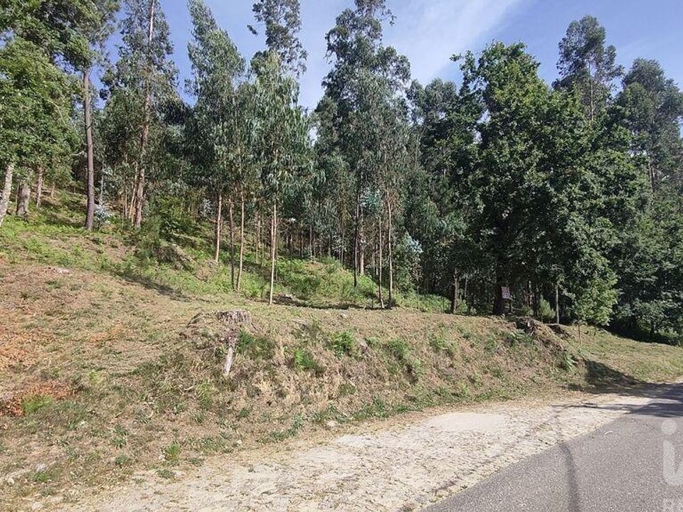 Terra a Valenca, Viana do Castelo - foto 1