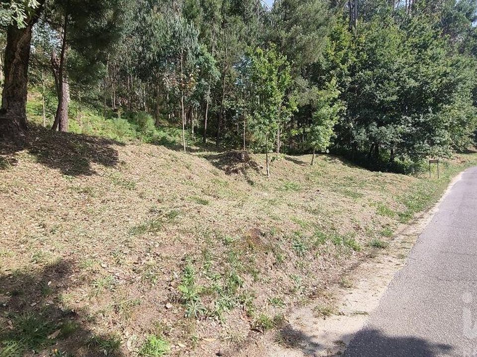 Terra a Valenca, Viana do Castelo - foto 2