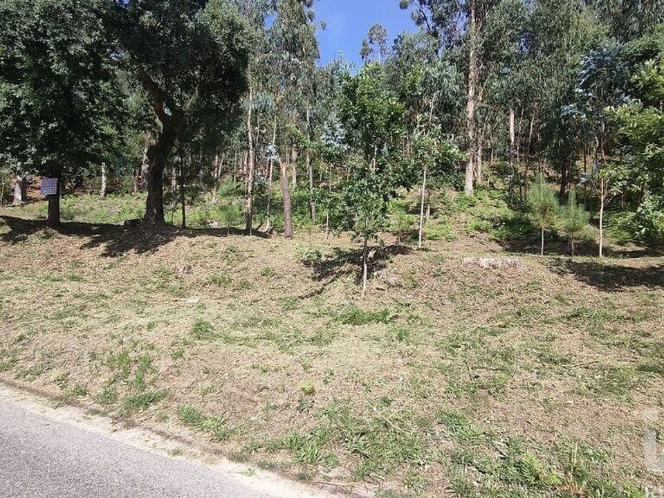 Terra a Valenca, Viana do Castelo - foto 3