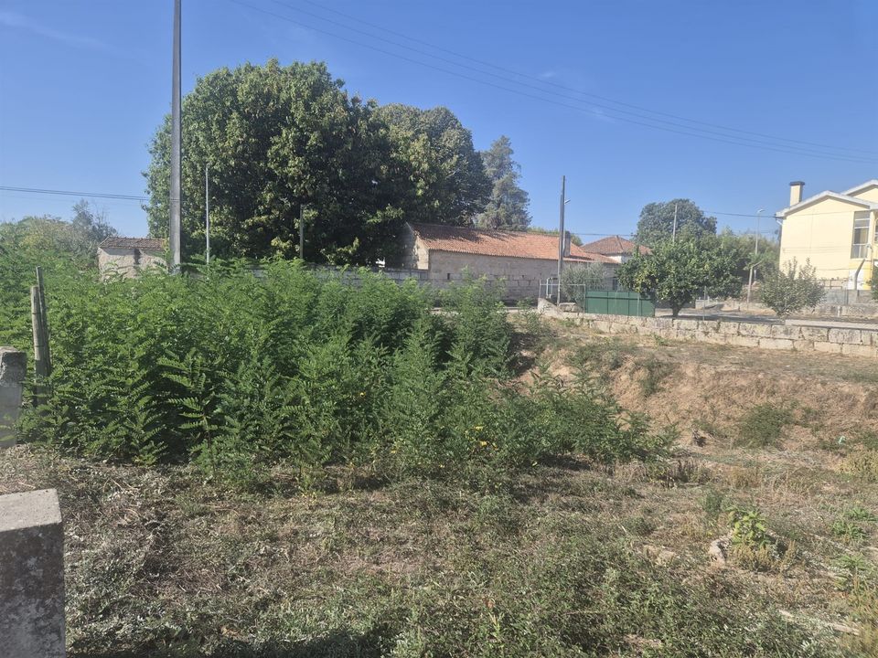 Terra a Nelas, Viseu - foto 1