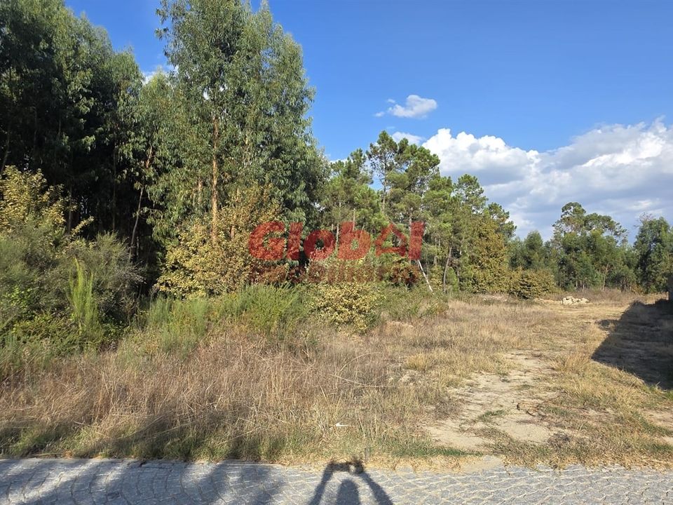 Helårsgrund i Viseu, Viseu - foto 1
