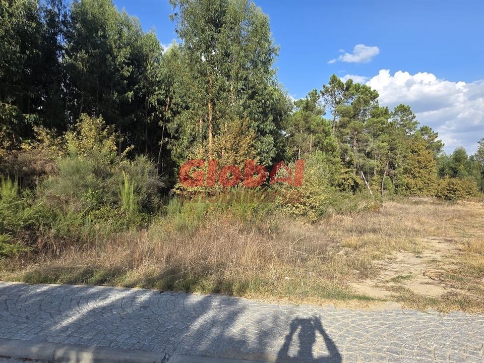 Helårsgrund i Viseu, Viseu - foto 2