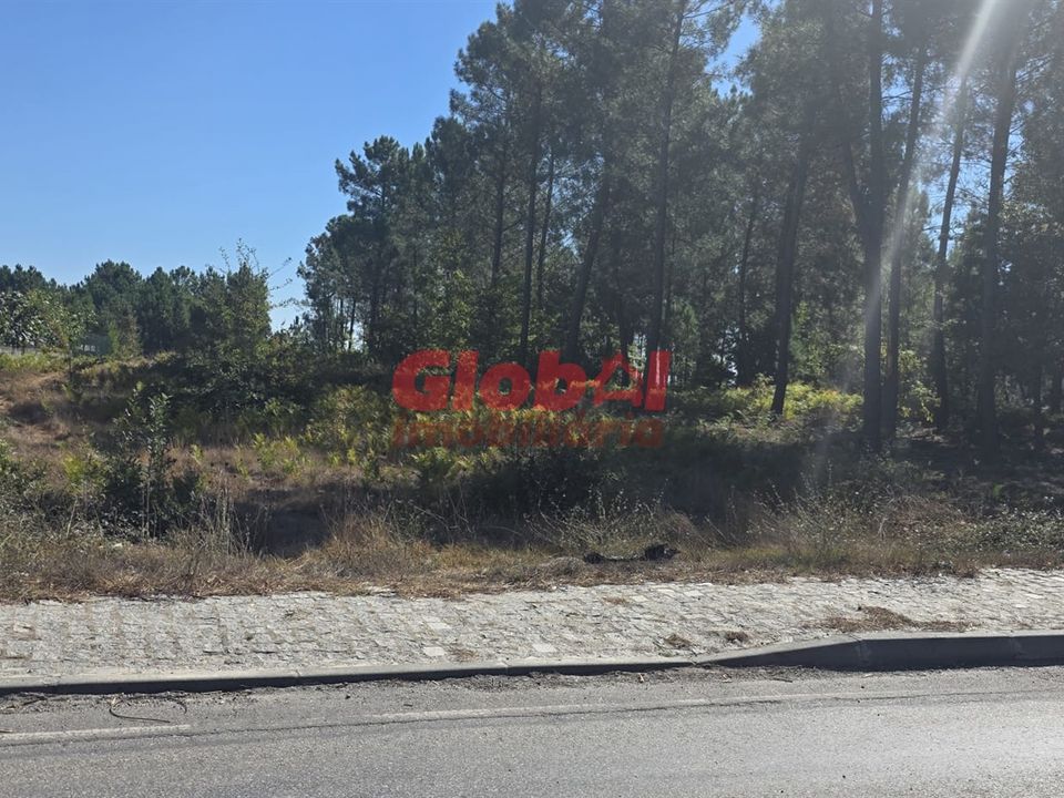Helårsgrund i Viseu, Viseu - foto 1