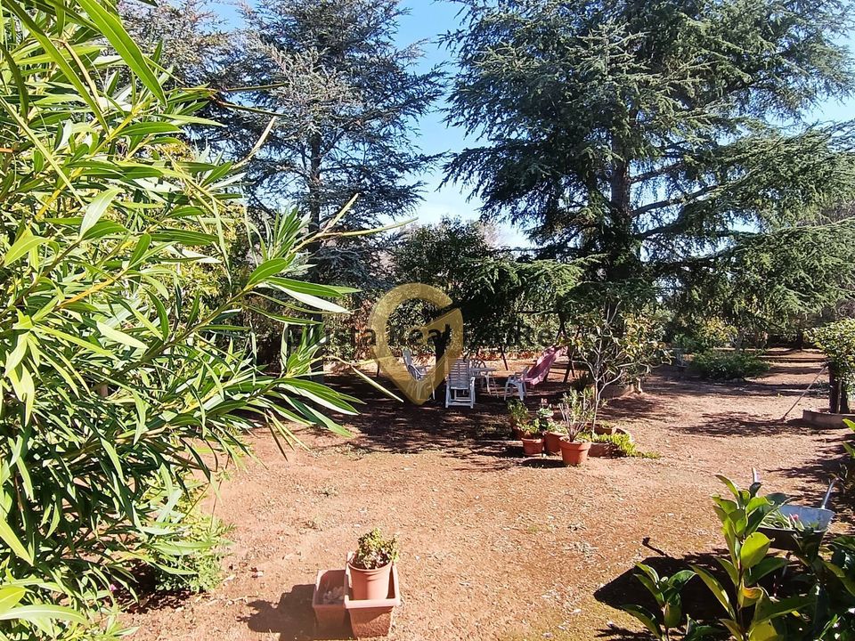 Villa i San Vito dei Normanni, Brindisi - foto 4
