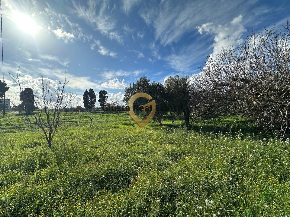 Landejendom i Brindisi, Brindisi - foto 2