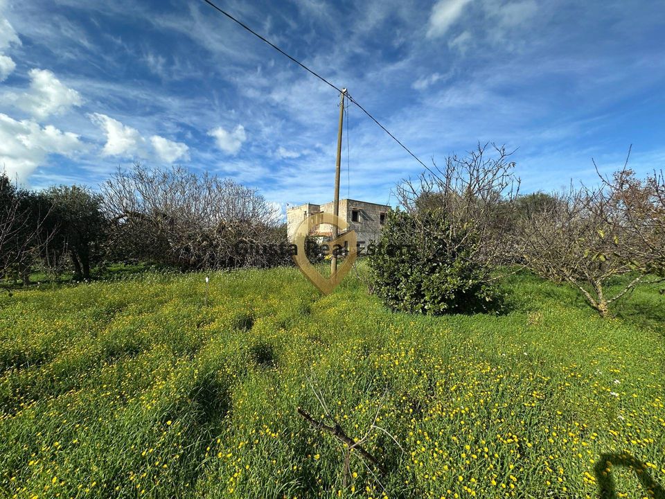 Landejendom i Brindisi, Brindisi - foto 5