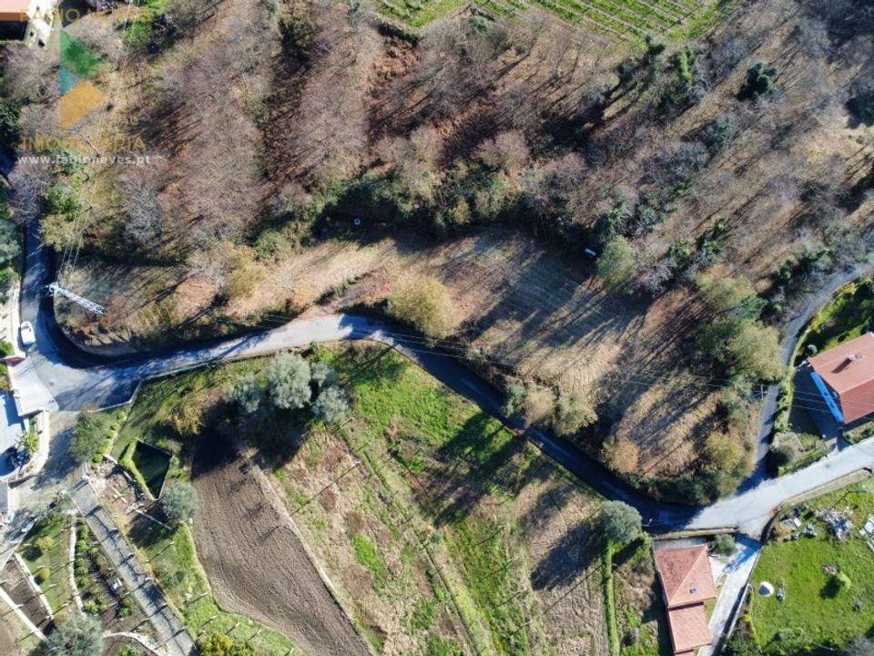 Helårsgrund i Ponte de Lima, Viana do Castelo - foto 3