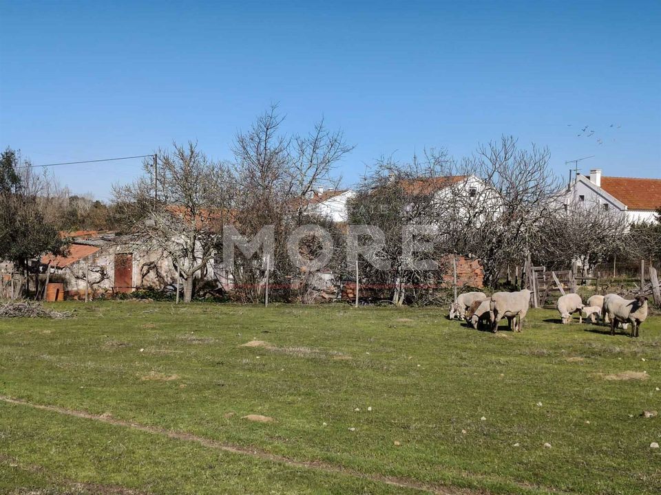Helårsgrund i Evora, Evora - foto 2