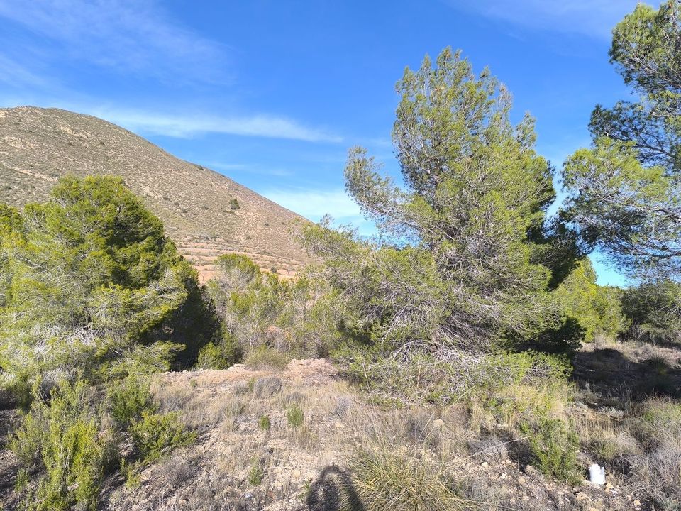 Helårsgrund i Alicante, Alicante - foto 4