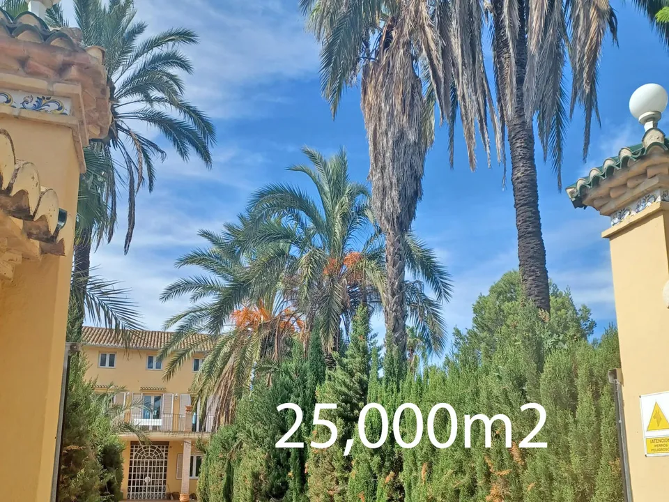 Finca i Alzira, Valencia - foto 2