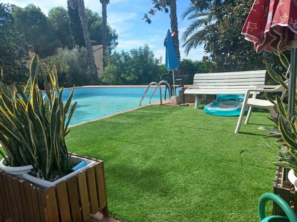 Finca i Alzira, Valencia - foto 4
